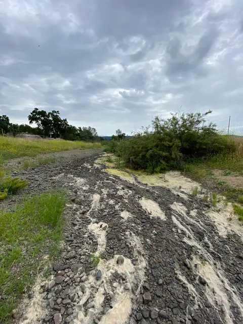 Dry Adobe Creek at Bell Hill Rd — 6/6/23