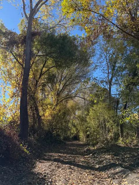 Alley Creek, N shore, Scotts Creek watershed