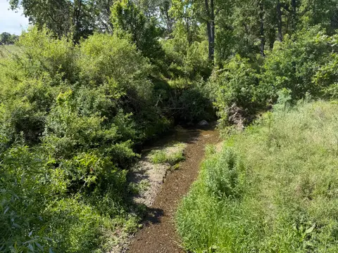 Upper Reach Burns Valley Road Burns Valley Creek — Upper reach · 4/24/26