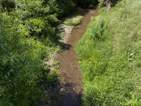 Upper Reach Burns Valley Road Burns Valley Creek — Upper reach · 4/24/26