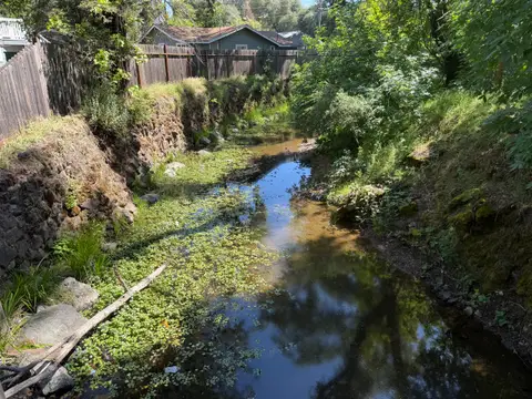 Lower Reach at Lakeshore Dr, Burns Valley Creek — Lower reach · 4/24/26