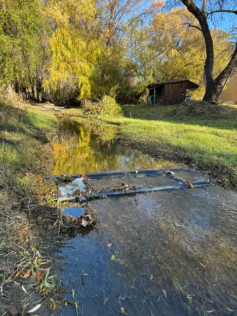 Habematolel's PIT Tag Array in Historic Clover… — Upstream reach · 11/27/24