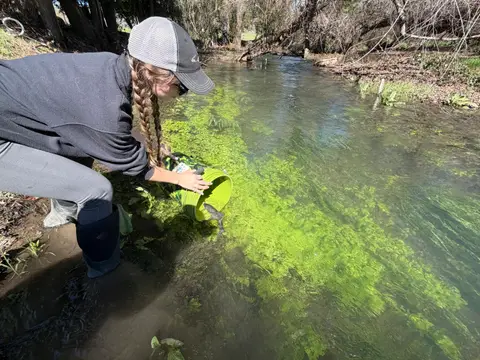 Rescued Hitch Released into Historic Clover… — 3/2/26