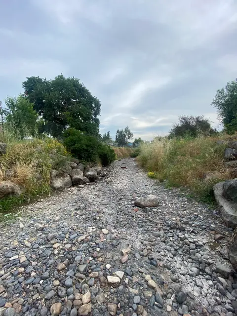 Dry Cole Creek at Sylar Lane — 6/5/23
