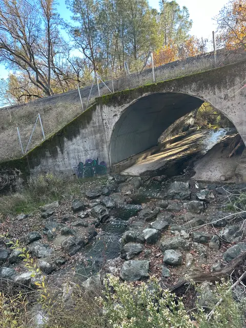 CDFW Fish Ladder in the Upper Reach of Cole… — Upper reach · 12/4/23