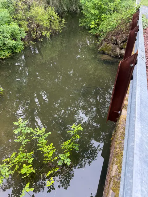 Hitch in Cooper Creek — Downstream · 4/20/26
