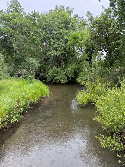 Cooper Creek (20 Hitch Were Hiding Under the… — Upstream · 5/4/26