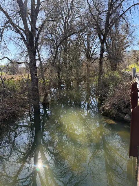 Cooper Creek, N shore, Scotts Creek feeder