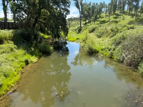 Downstream Reach Copsey Creek at Copsey Creek Way — Downstream reach · 4/24/26
