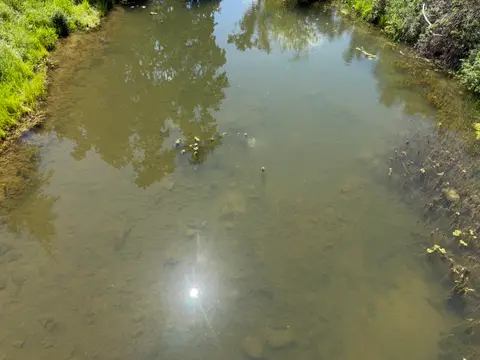 Downstream Reach Copsey Creek at Copsey Creek Way — Downstream reach · 4/24/26