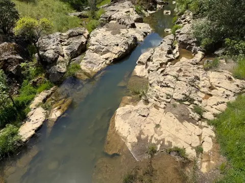 Copsey Creek at Morgan Valley Road Upstream… — Upstream · 4/24/26