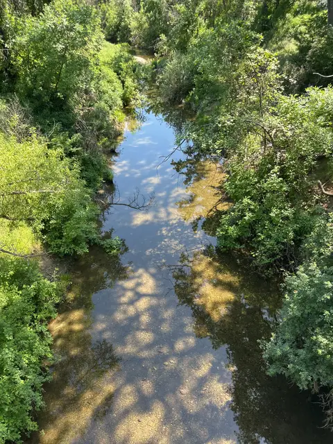 Upstream Reach Copsey Creek at Spruce Grove Road — Upstream reach · 5/1/25