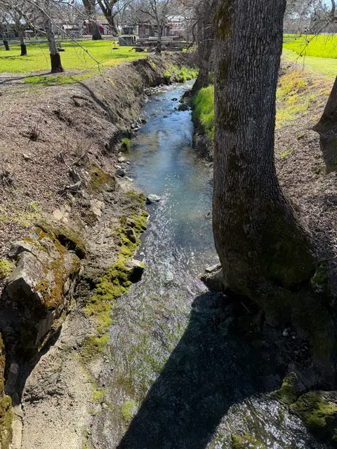 Dayle Creek, N shore, Cooper Creek feeder