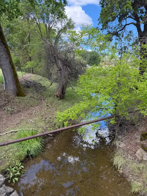 Dayle Creek at Witter Springs Road — Upstream · 4/13/26