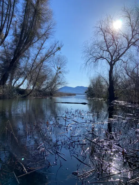 Mouth of Forbes Creek — 2023