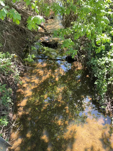 Hendricks Creek, N shore, Scotts Creek feeder