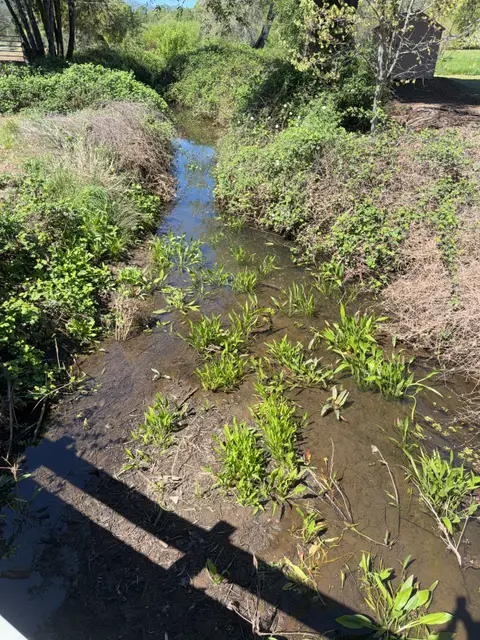 Hendricks Creek at Scotts Valley Road Lower Reach — Lower reach · 4/2/26