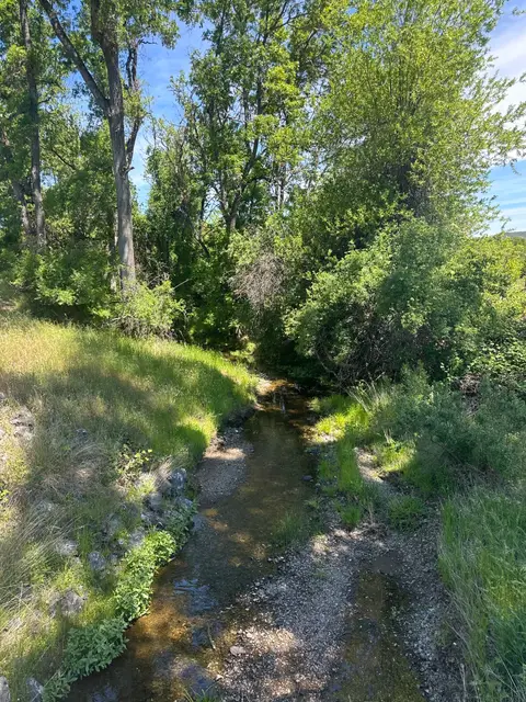 Hendricks Creek at Hendricks Road Upstream Reach — Upstream reach · 5/5/25