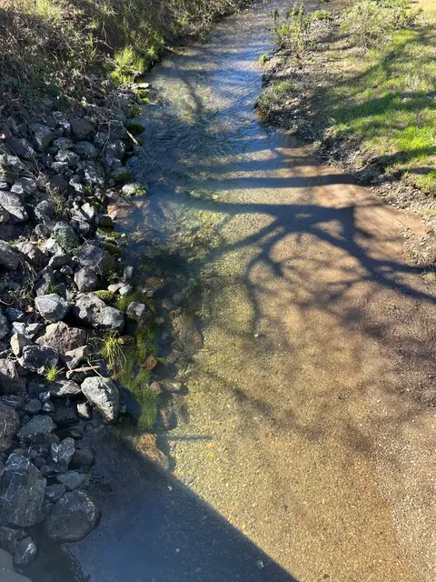 Hendricks Creek at Hendricks Road Upstream Reach — Upstream reach · 3/24/26