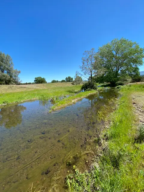 Downstream Reach Highland Creek — Downstream reach · 5/15/23