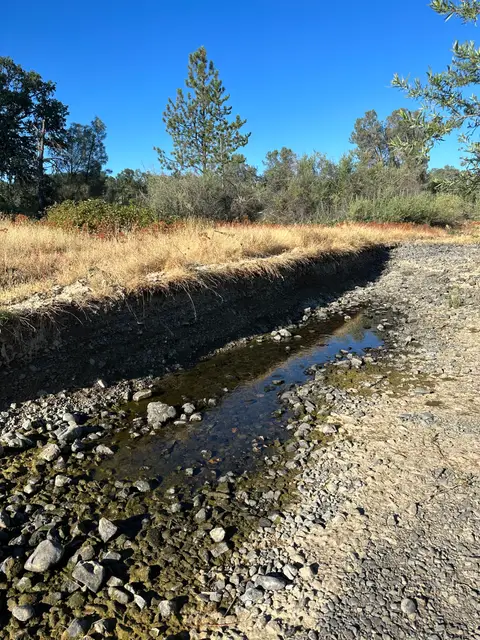 Highland Creek Going Dry, Downstream Reach — Downstream reach · 7/26/23