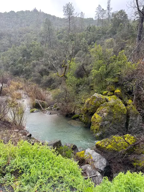 Upstream Reach (above LCWPD Site) Highland Creek — Upstream reach · 3/22/24