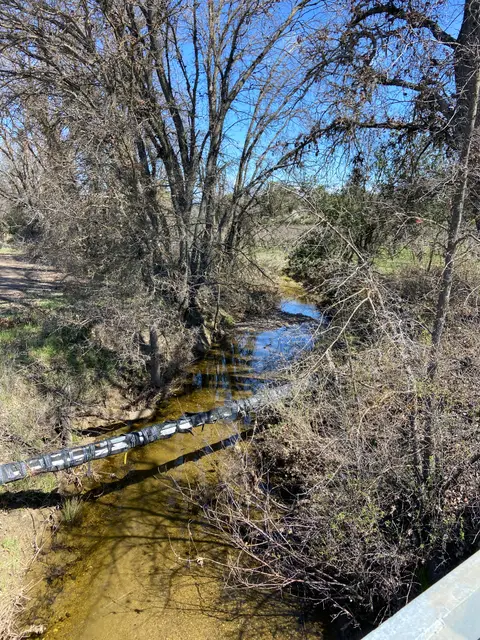 Hill Creek, South shore, McGaugh feeder