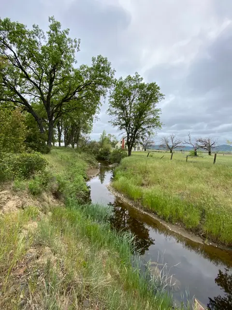 Upstream Reach Hill Creek at Holden Reid Road — Upstream reach · 5/1/23