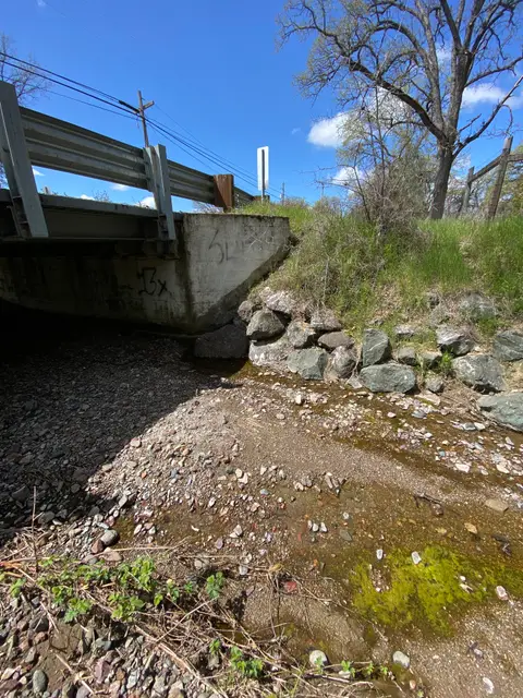 Dry Creek Bed Hill Creek at Bell Hill Road — 4/18/23
