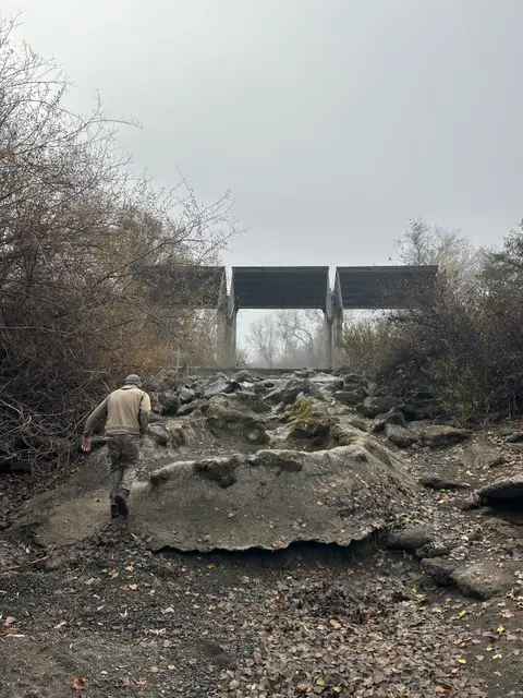 Fish Ladder at the Kelsey Creek Detention… — 12/5/23