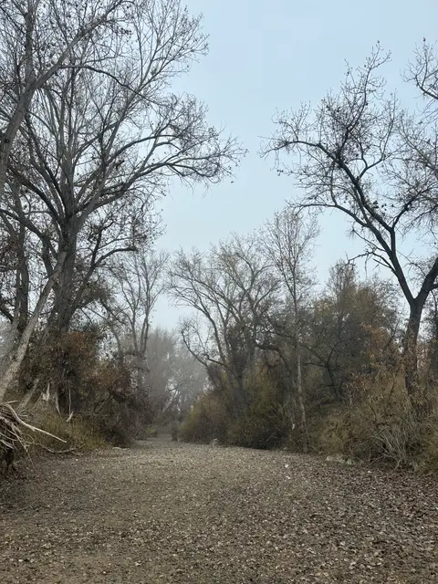Dry Creek Bed Kelsey Creek of the Detention… — Downstream · 12/5/23