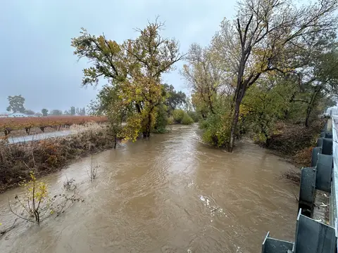 Downstream Reach Kelsey Creek at Soda Bay Road — Downstream reach · 11/22/24