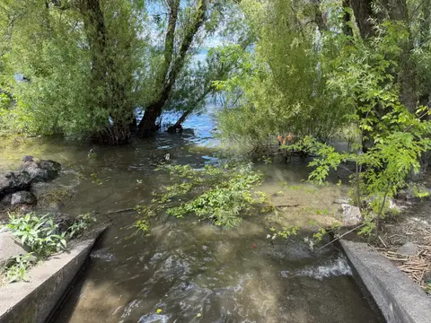 Lucerne Creek, NE shore, rearing habitat