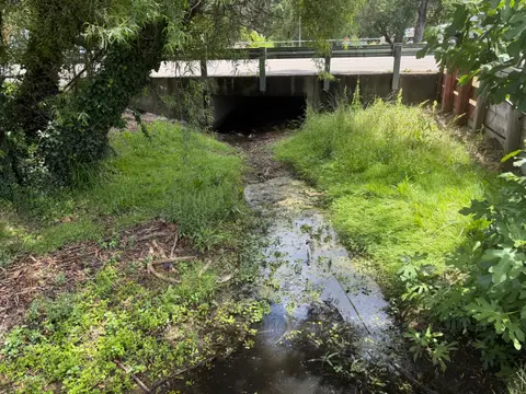 Downstream Reach of Lucerne Creek at Highway 20 on — Downstream reach · 5/28/26