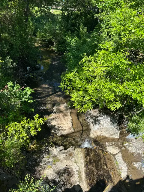 Upstream Reach of Lucerne Creek — Upstream reach · 4/28/25
