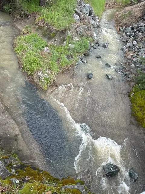 Upstream Reach of Lucerne Creek — Upstream reach · 3/17/25