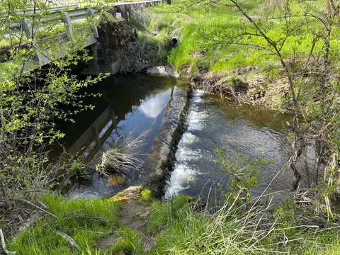 Lyons Creek at Lakeshore Blvd Downstream Barrier — Downstream · 4/3/25