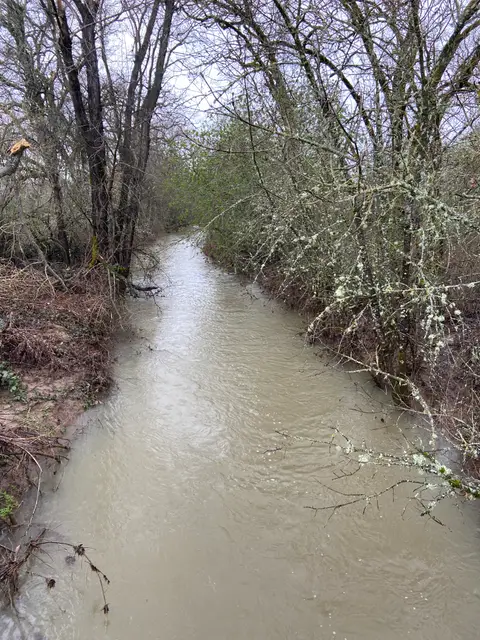 Manning Creek, SW shore, Big Valley