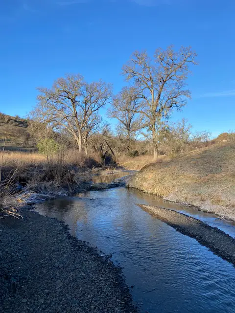 Manning Creek Upper Reach Along Highway 175 on — Upper reach · 1/31/23