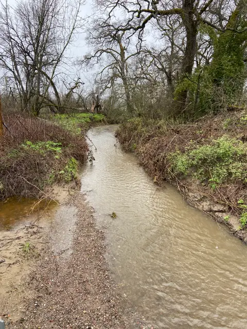 Mcgaugh Slough at Big Valley Road (now a — Upstream · 3/21/23