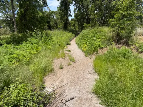 Mcgaugh Slough at Big Valley Road, Dry Creek… — Downstream · 4/24/26