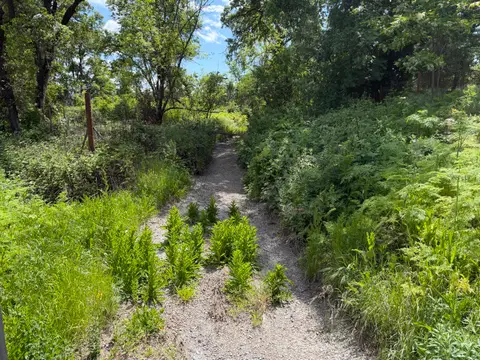 Mcgaugh Slough at Big Valley Road, Dry Creek Bed — Upstream · 4/24/26