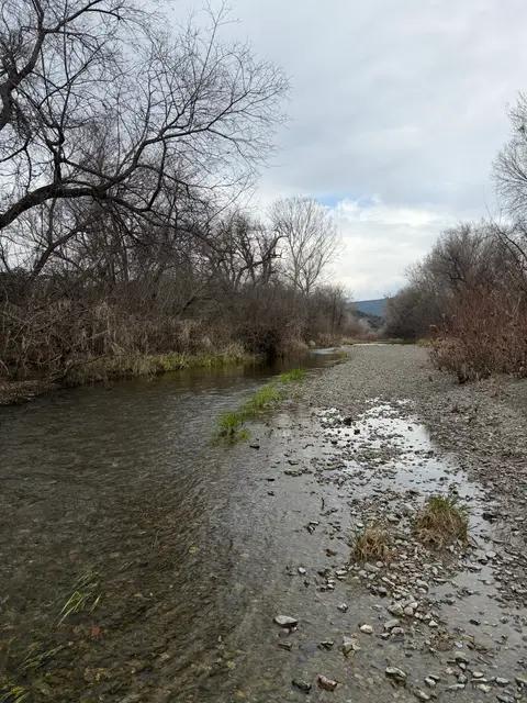 Middle Creek, N shore, Upper Lake, Scotts feeder