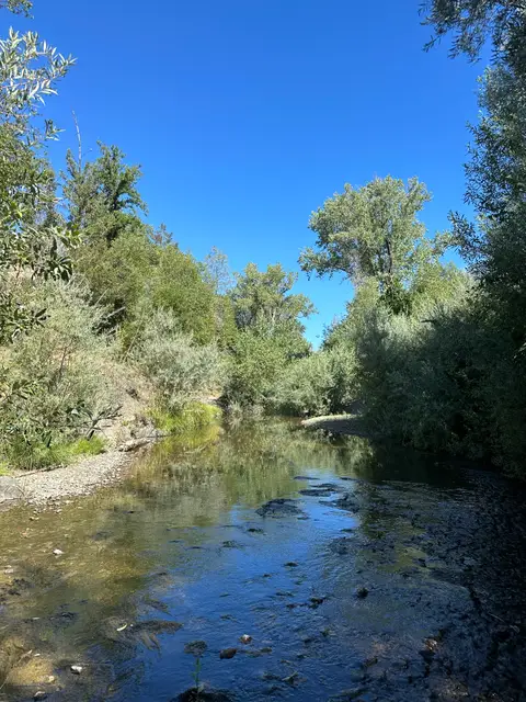 Upstream Reach Middle Creek at Elk Mountain Road — Upstream reach · 8/5/24