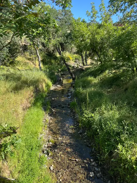 Morrison Creek, NE shore, Upper Arm