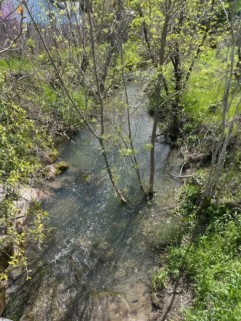 Morrison Creek at Foothill Road — Downstream · 4/7/25