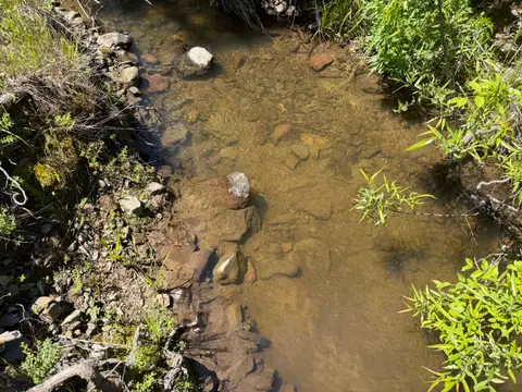 Substrate of Perini Creek at Perini Road — Upstream · 4/24/26