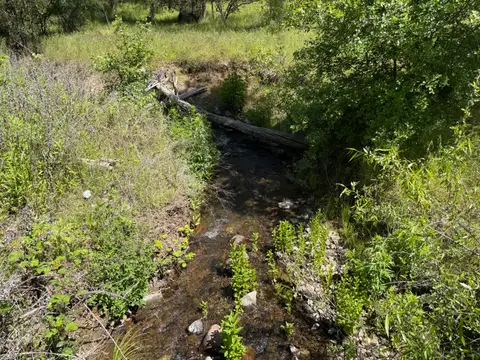 Perini Creek at Perini Road — Downstream · 4/24/26