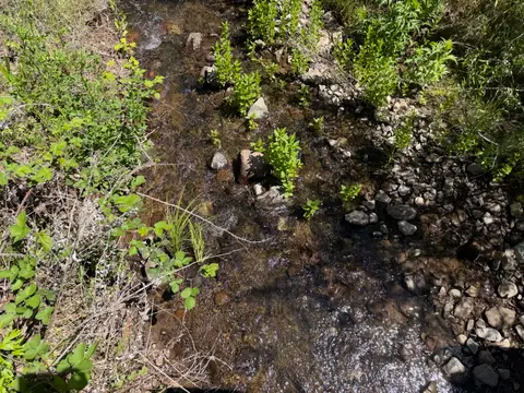 Substrate of Perini Creek at Perini Road — Downstream · 4/24/26