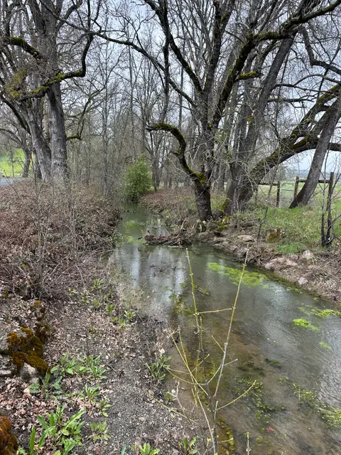 Pool Creek, N shore, Hendricks Creek feeder